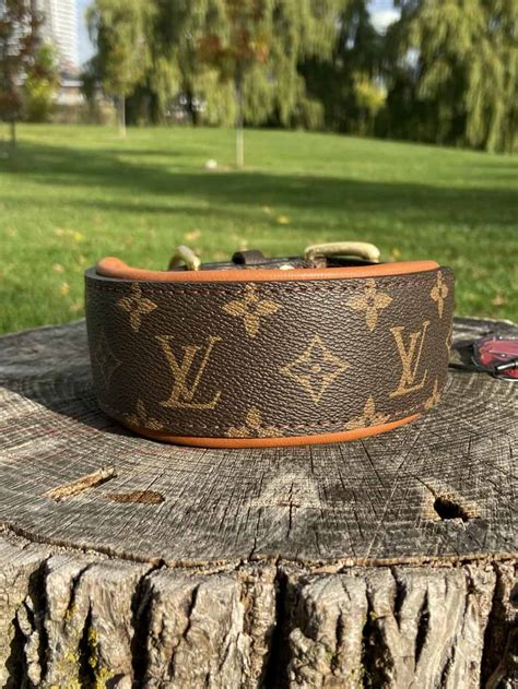 louis vuitton dog shirt|louis vuitton dog collar small.